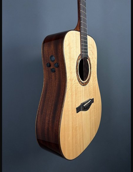 Eko Wow D800E SS Spruce/Sapele