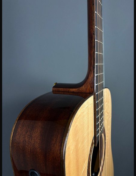 Eko Wow D800E SS Spruce/Sapele