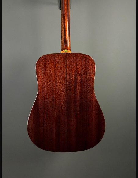 Eko Wow D800E SS Spruce/Sapele
