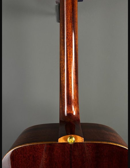 Eko Wow D800E SS Spruce/Sapele