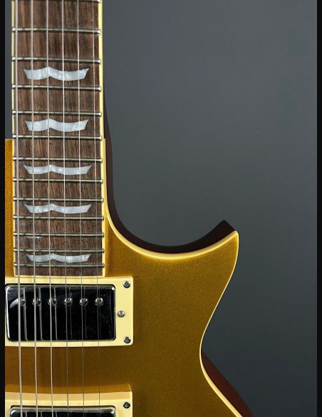 ESP LTD EC1000 MGO Chitarra Elettrica