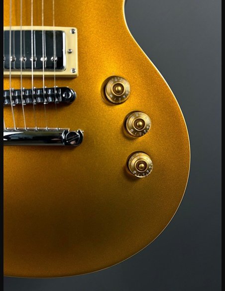 ESP LTD EC1000 MGO Chitarra Elettrica