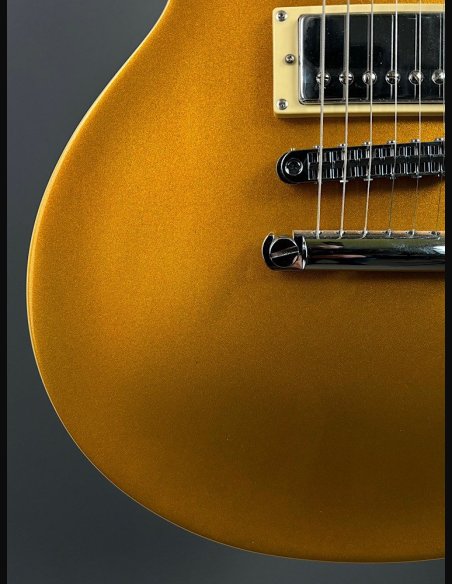ESP LTD EC1000 MGO Chitarra Elettrica