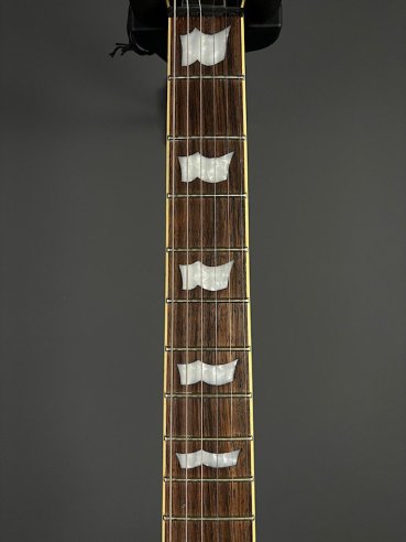 ESP LTD EC1000 MGO Chitarra Elettrica