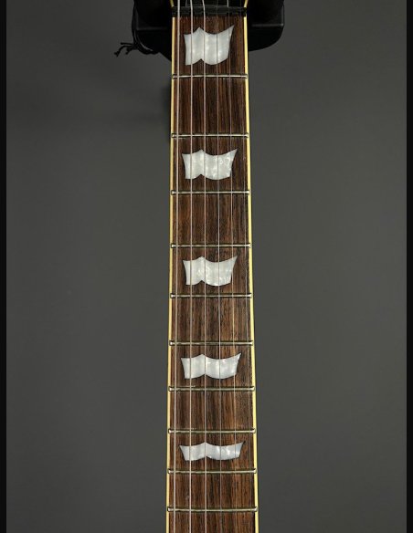 ESP LTD EC1000 MGO Chitarra Elettrica