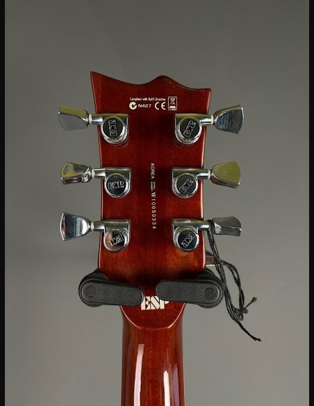 ESP LTD EC1000 MGO Chitarra Elettrica