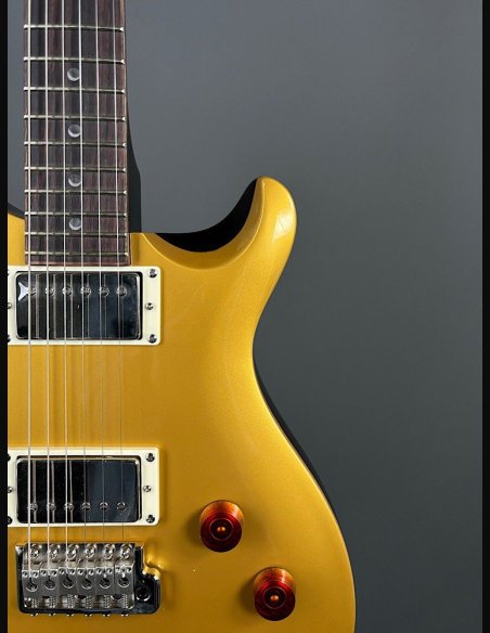 PRS SE DGT Moons Gold Top SN: CTIF095187