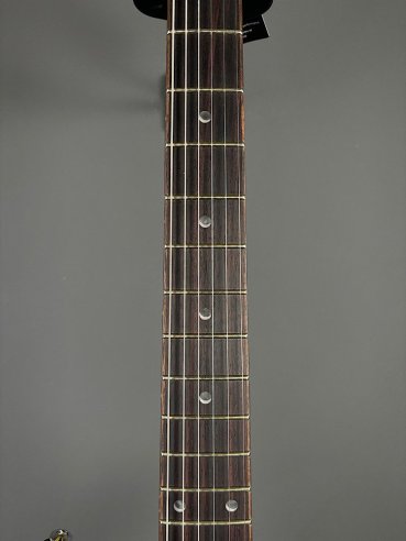 PRS SE DGT Moons Gold Top SN: CTIF095187