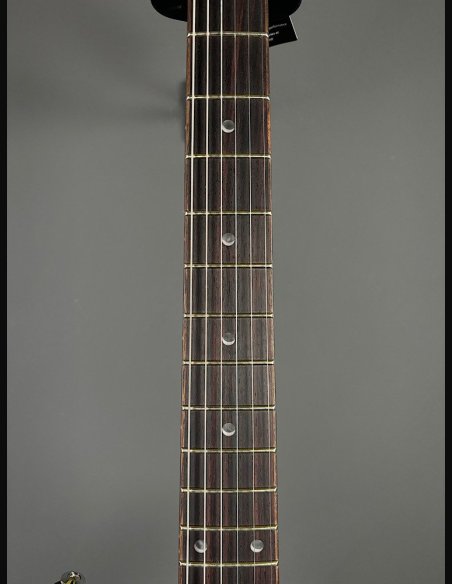 PRS SE DGT Moons Gold Top SN: CTIF095187
