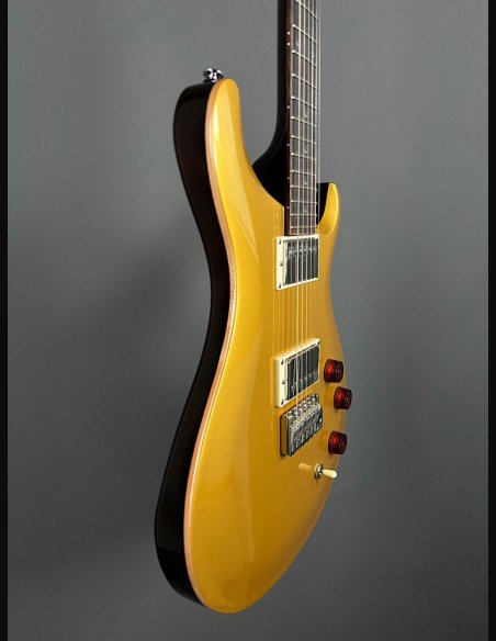 PRS SE DGT Moons Gold Top SN: CTIF095187