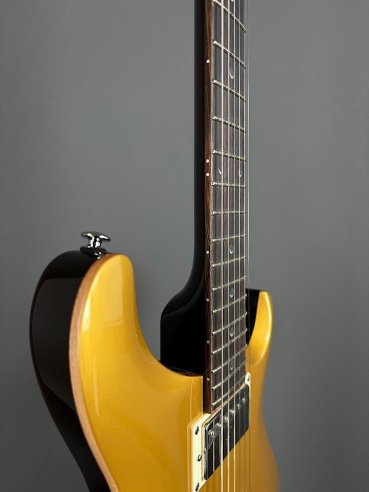 PRS SE DGT Moons Gold Top SN: CTIF095187