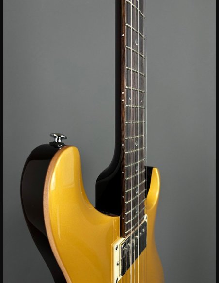 PRS SE DGT Moons Gold Top SN: CTIF095187
