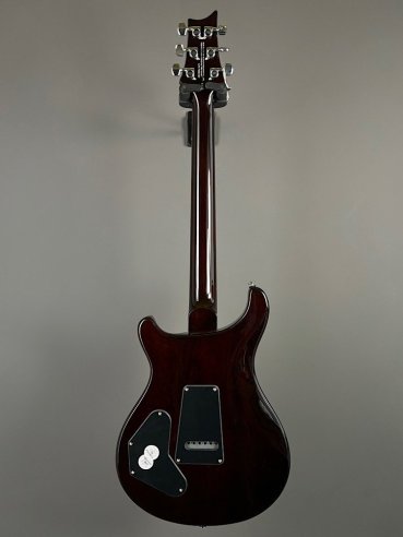 PRS SE DGT Moons Gold Top SN: CTIF095187