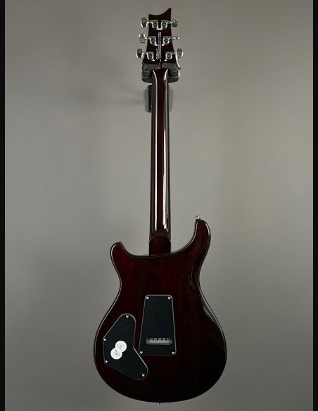 PRS SE DGT Moons Gold Top SN: CTIF095187