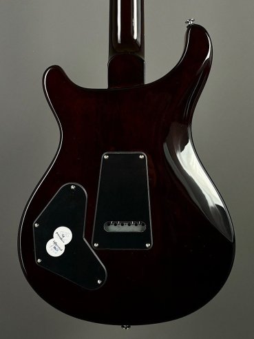 PRS SE DGT Moons Gold Top SN: CTIF095187