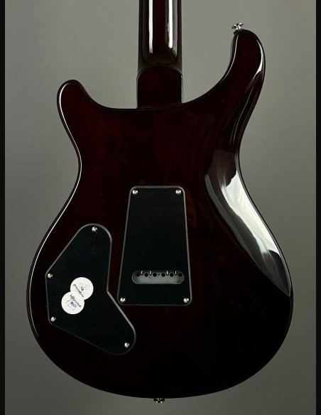 PRS SE DGT Moons Gold Top SN: CTIF095187