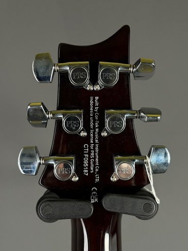 PRS SE DGT Moons Gold Top SN: CTIF095187