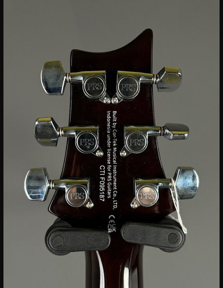 PRS SE DGT Moons Gold Top SN: CTIF095187
