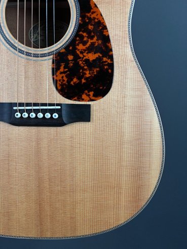 Larriveè D-40 Chitarra Folk