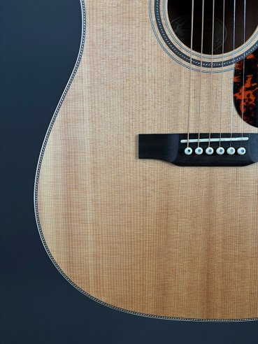 Larriveè D-40 Chitarra Folk