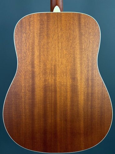 Larriveè D-40 Chitarra Folk