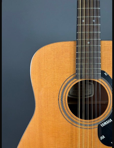 Yamaha FG412 12 CH Folk