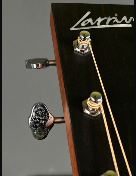 Larriveè OOO-40E Chitarra Folk Elettrificata