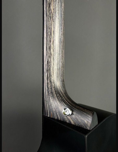 Martin GPC-X1E Black Remastered