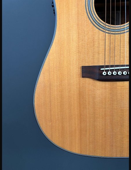 Sigmaguitars DMC-1STE