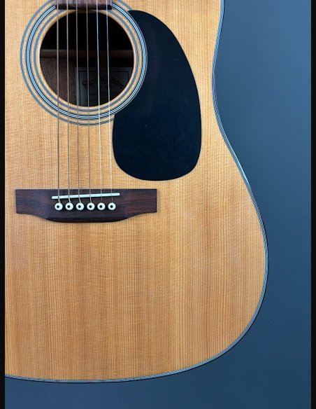 Sigmaguitars DMC-1STE