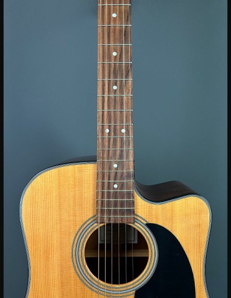 Sigmaguitars DMC-1STE