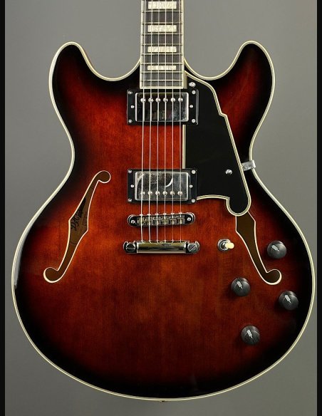 D'Angelico Premier DC Brown Burst
