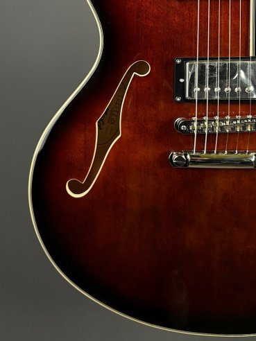 D'Angelico Premier DC Brown Burst