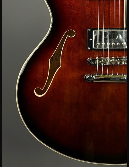 D'Angelico Premier DC Brown Burst