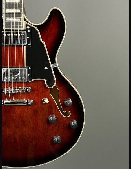 D'Angelico Premier DC Brown Burst