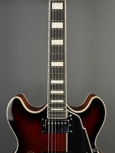 D'Angelico Premier DC Brown Burst