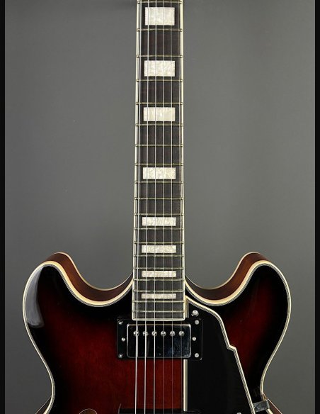 D'Angelico Premier DC Brown Burst