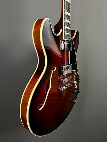 D'Angelico Premier DC Brown Burst