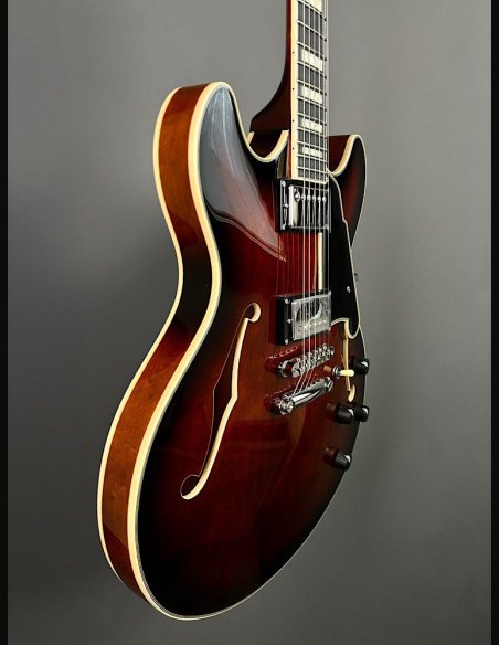 D'Angelico Premier DC Brown Burst