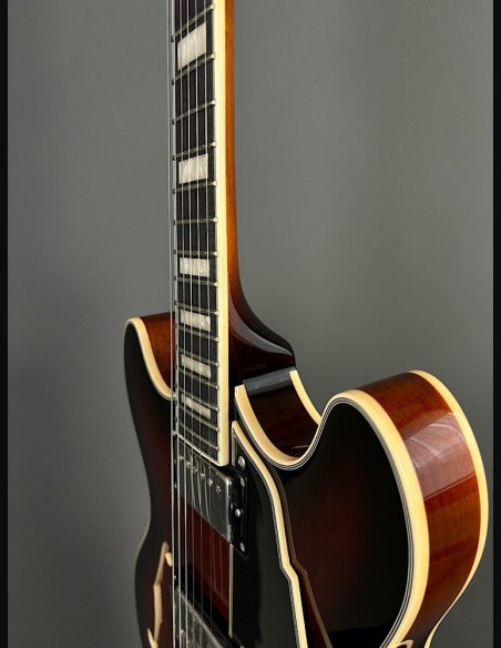 D'Angelico Premier DC Brown Burst