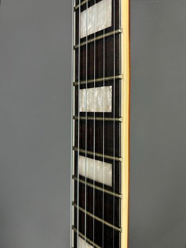 D'Angelico Premier DC Brown Burst