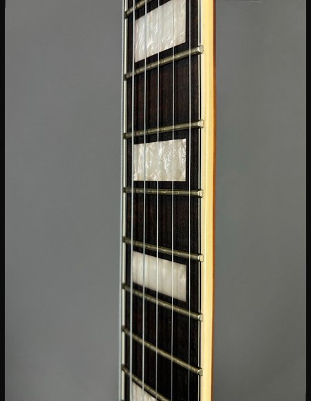 D'Angelico Premier DC Brown Burst