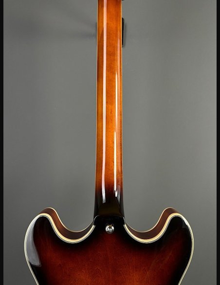 D'Angelico Premier DC Brown Burst