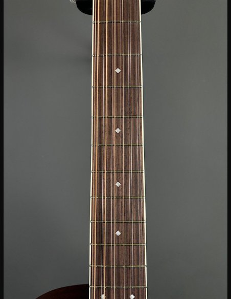 D'Angelico Premier Fulton Natural 12 Strings