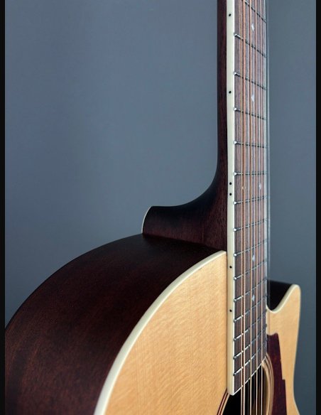 D'Angelico Premier Fulton Natural 12 Strings