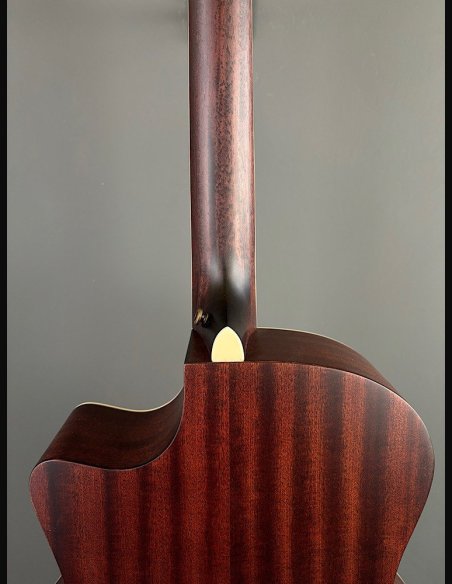 D'Angelico Premier Fulton Natural 12 Strings