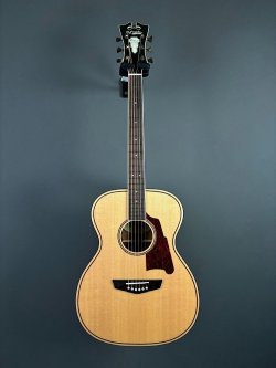 D'Angelico Premier Tammany Natural 2