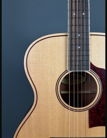 D'Angelico Premier Tammany Natural