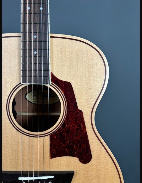D'Angelico Premier Tammany Natural