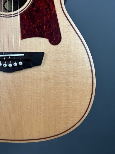 D'Angelico Premier Tammany Natural